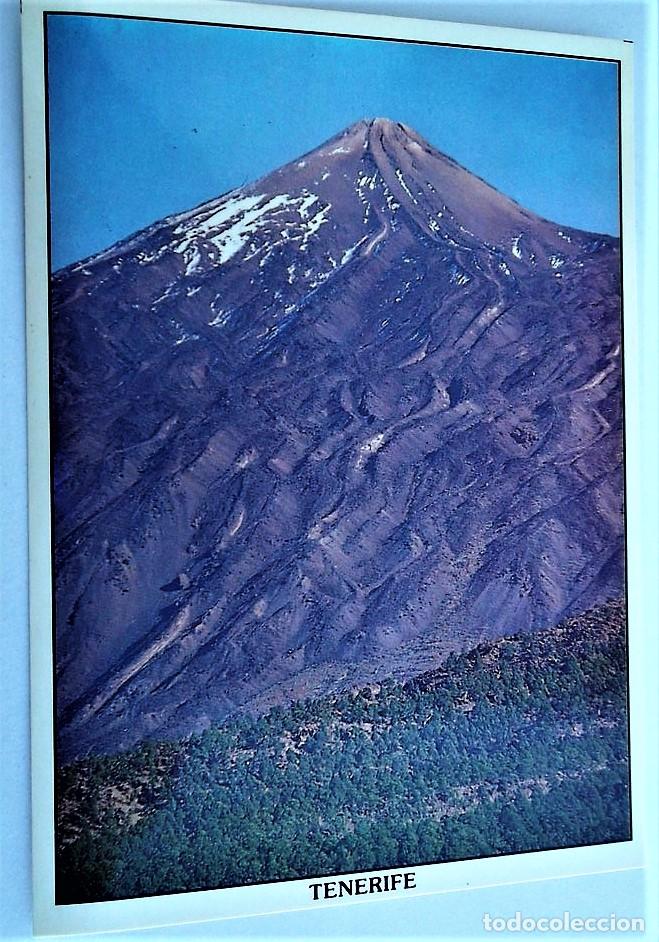 Cartoline: Canarias. 19 Teide. Juan Socorro. Nueva