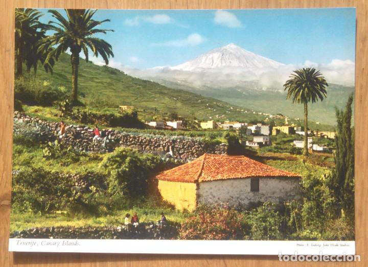 Postales: TENERIFE - SANTA URSULA - Foto 1
