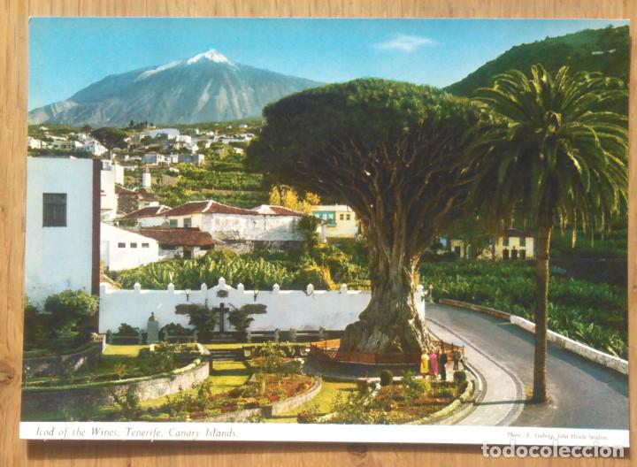 Postales: TENERIFE - ICOD DE LOS VINOS - Foto 1