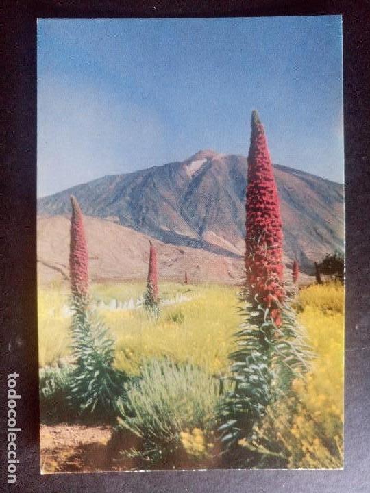 Postales: postal tenerife el teide canarias - Foto 1