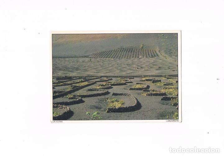 Postales: POSTAL ANTIGUA SIN CIRCULAR CANARIAS LANZAROTE LA GERIA