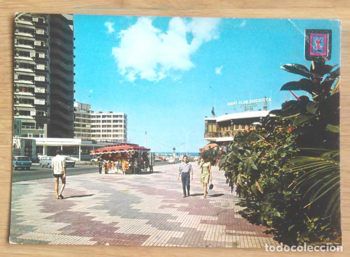 Cartoline: PUERTO DE LA CRUZ - AVENIDA DE COLON