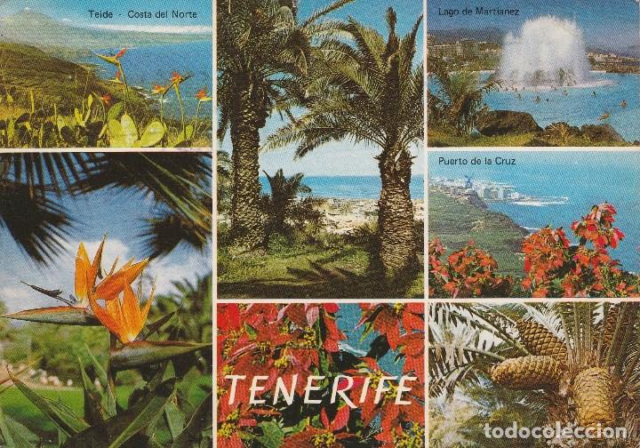 Postales: N&ordm; 31945 POSTAL TENERIFE - Foto 1