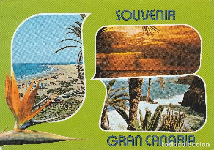 Postales: N&ordm; 32132 POSTAL GRAN CANARIA - Foto 1