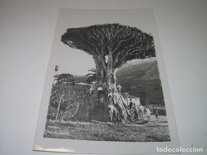 Postales: ANTIGUA POSTAL....CANARIAS. - Foto 1