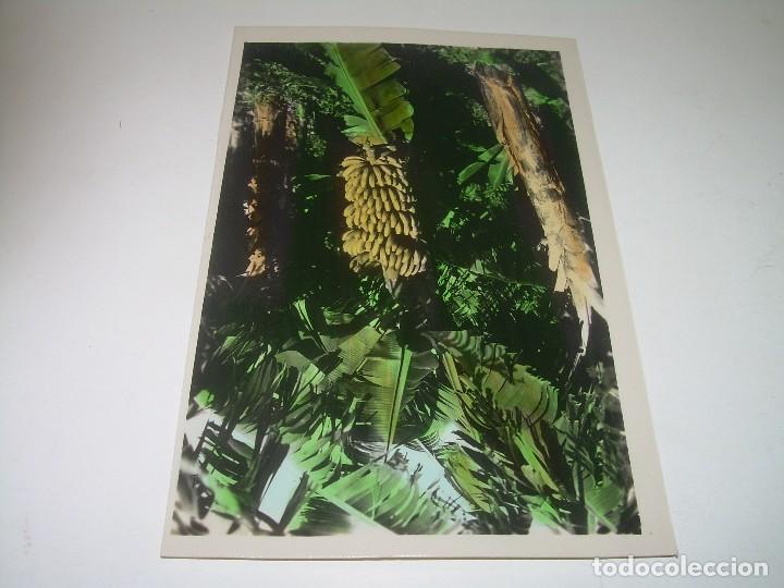 Postales: ANTIGUA POSTAL....CANARIAS. - Foto 1