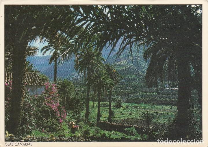 Postales: N&ordm; 32621 POSTAL ISLAS CANARIAS - Foto 1