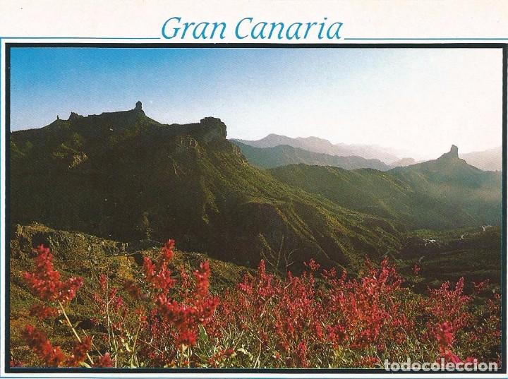 Postales: [POSTAL] Roque Bentaiga y Roque Nublo. Gran Canaria (sin circular)