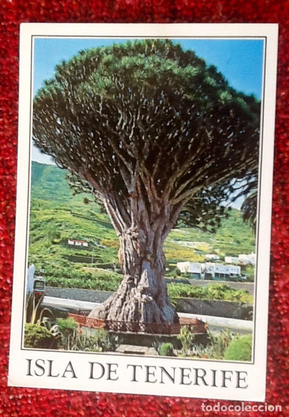 Postkarten: ISLA DE TENERIFE. SIN CIRCULAR. . ENVIO INCLUIDO.