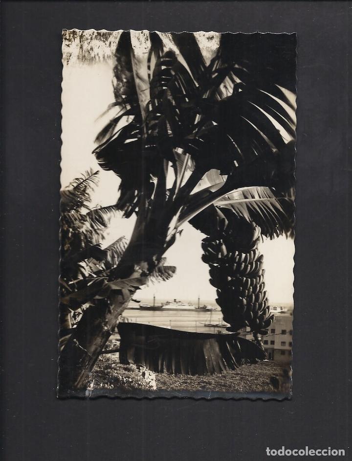 Postales: Postal de Tenerife. No circulada. - Foto 1