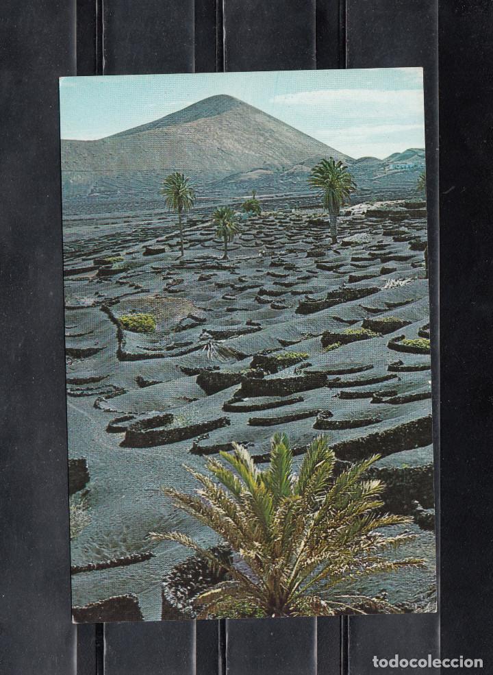 Postales: LANZAROTE. VI&Ntilde;EDOS - Foto 1