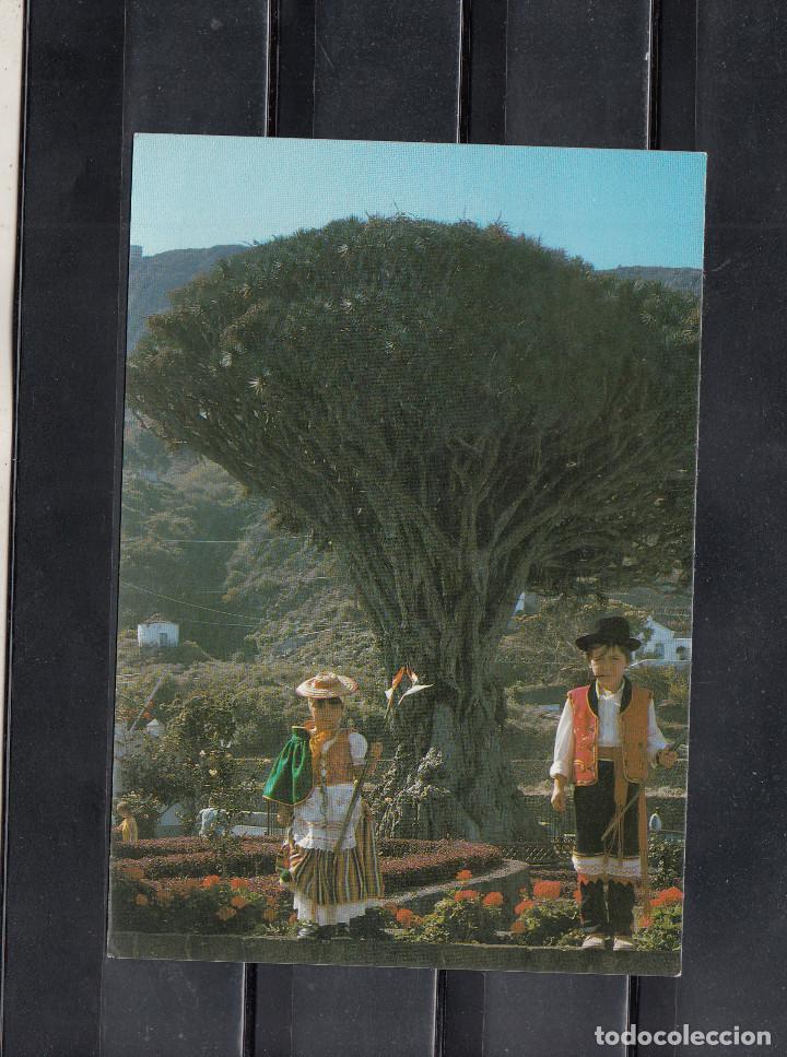Postales: TENERIFE. DRAGO MILENARIO - Foto 1