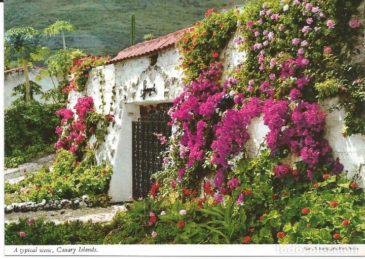 Postales: [POSTAL] Entrada a una residencia campestre (Islas Canarias) (sin circular)