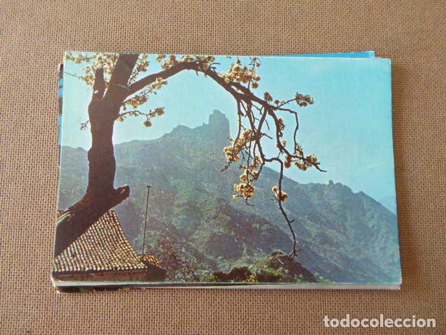 Postales: CLUB JUVENIL TEJADA. ALMENDRO EN FLOR. ESCRITA Y CIRCULADA