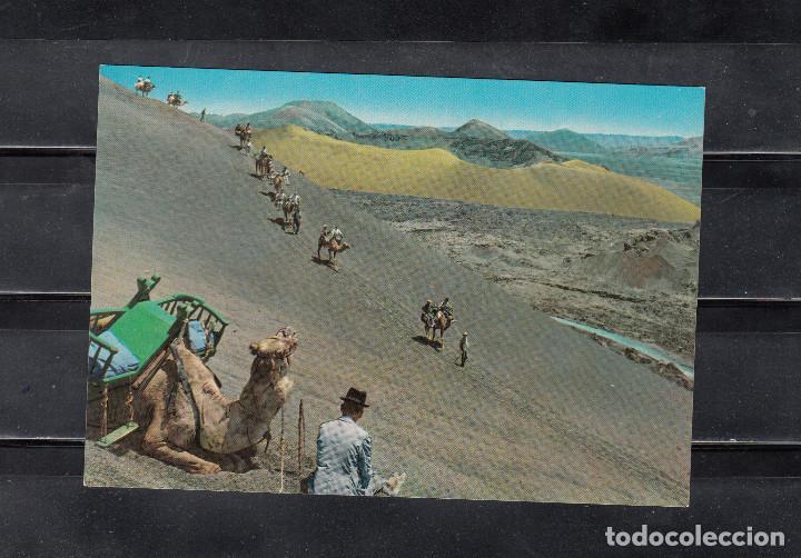 Postales: LANZAROTE. CARAVANA EN LA MONTA&Ntilde;A DE FUEGO