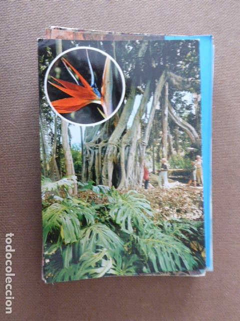 Postcards: PUERTO DE LA CRUZ. N&ordm; PU51. ESCRITA Y CIRCULADA