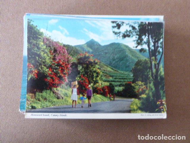 Postcards: ISLAS CANARIAS. N&ordm; 2CGT19. ESCRITA Y CIRCULADA