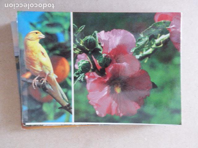 Postcards: ISLAS CANARIAS. N&ordm; 540. ESCRITA Y CIRCULADA