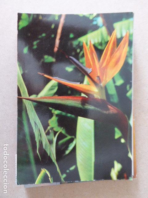 Postcards: ISLAS CANARIAS. N&ordm; 2096. ESCRITA Y CIRCULADA