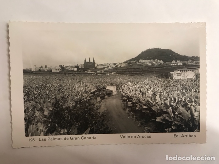 Postales: LAS PALMAS DE GRAN CANARIA. Postal No.123 Valle de Arucas (h.1950?)