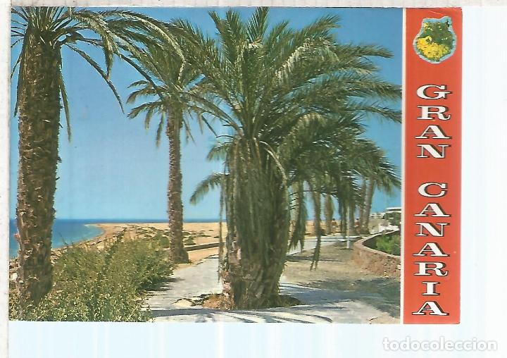 Postales: PLAYA DEL INGLES GRAN CANARIA ESCRITA