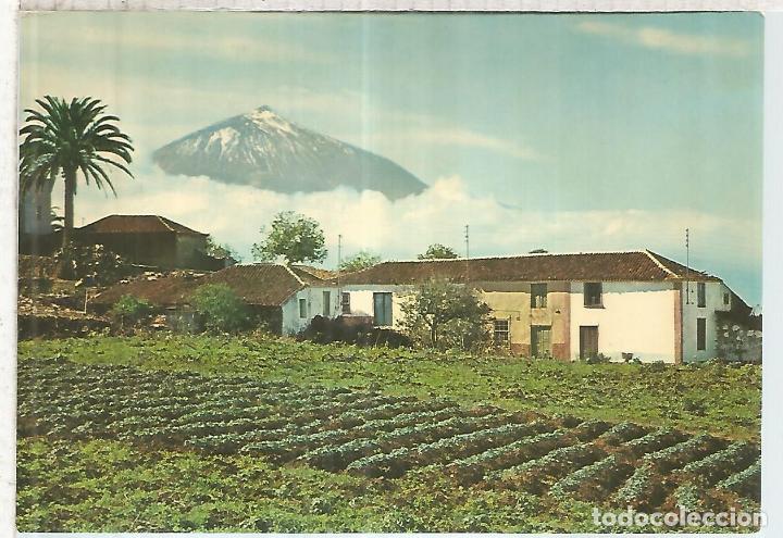 Postales: TEIDE TENERIFE SIN ESCRIBIR - Foto 1