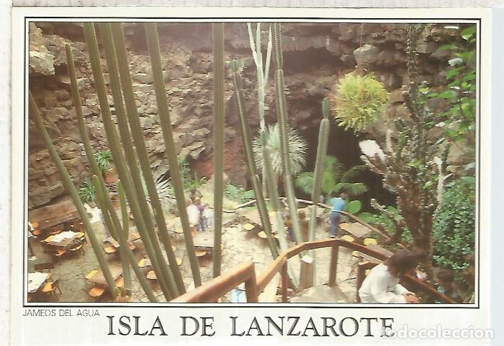 Postales: LANZAROTE ESCRITA - Foto 1