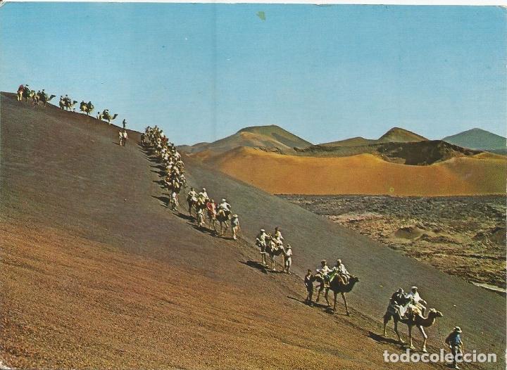 las palmas de gran canaria caravana de camello Buy Postcards