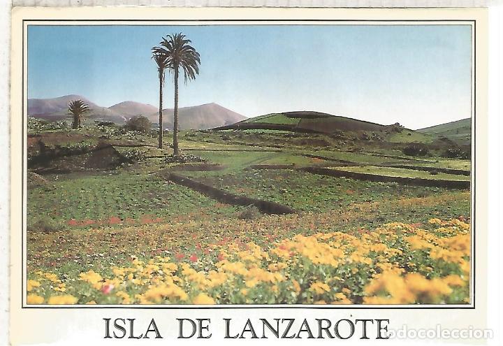Postales: LANZAROTE ESCRITA - Foto 1