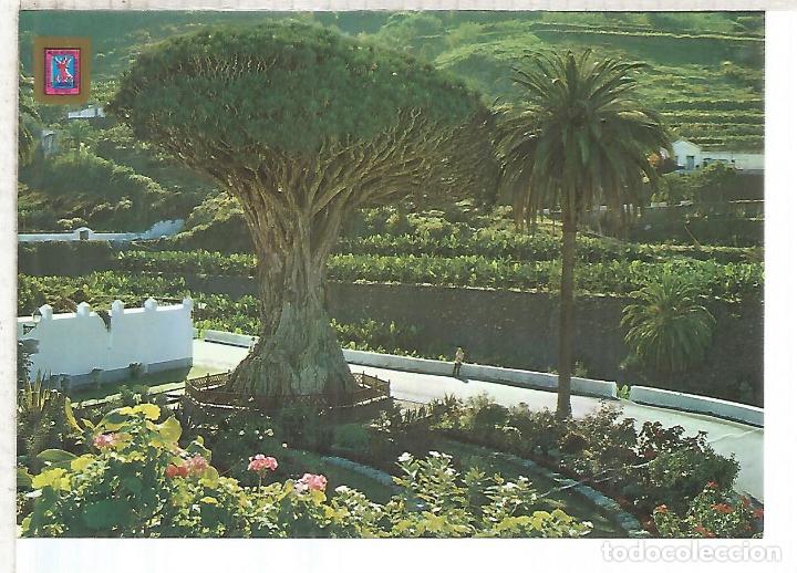 Postales: ICOD DE LOS VINOS TENERIFE ESCRITA - Foto 1