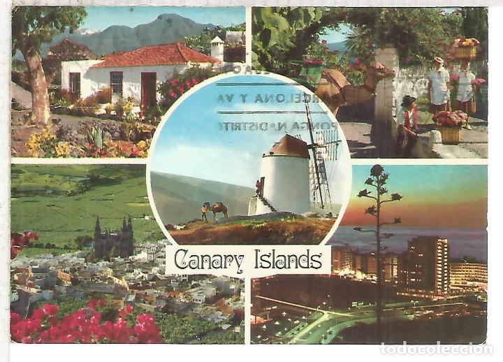 Postales: CANARIAS ESCRITA - Foto 1
