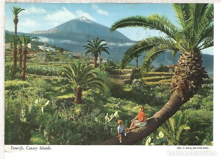 Postales: TENERIFE ESCRITA - Foto 1