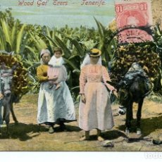 Postales: TENERIFE-RECOLECTORAS DE LEÑA- 1903