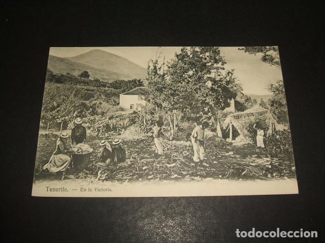 Postales: TENERIFE EN LA VICTORIA - Foto 1