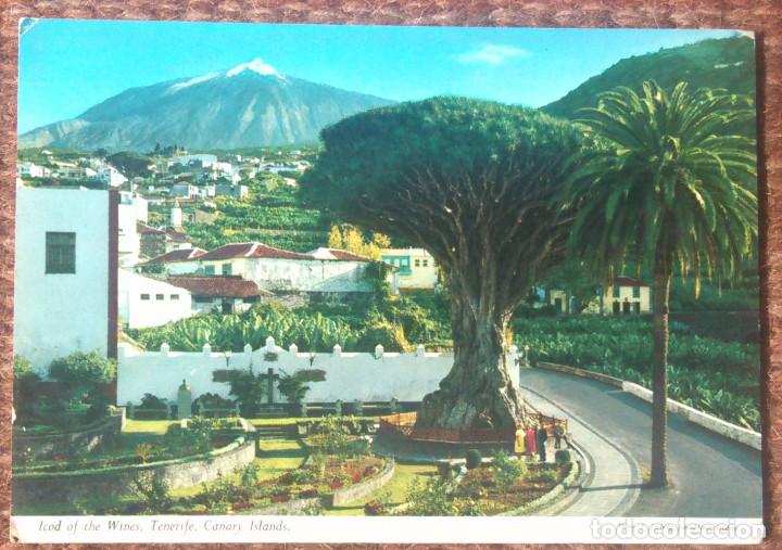 Postales: ICOD DE LOS VINOS - DRAGO MILENARIO - Foto 1