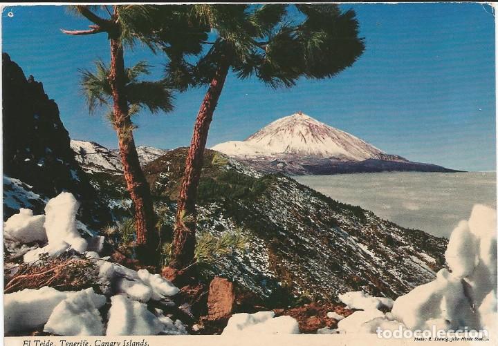 Postkarten: [POSTAL] Mientras el Teide se cubre de nieve... John Hilde. Original (Canarias) (circulada)