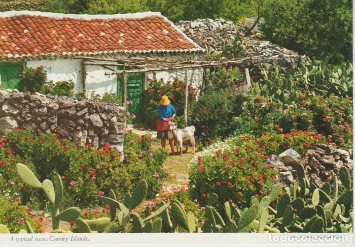 Postkarten: (168) ISLAS CANARIAS. VIVIENDA RURAL
