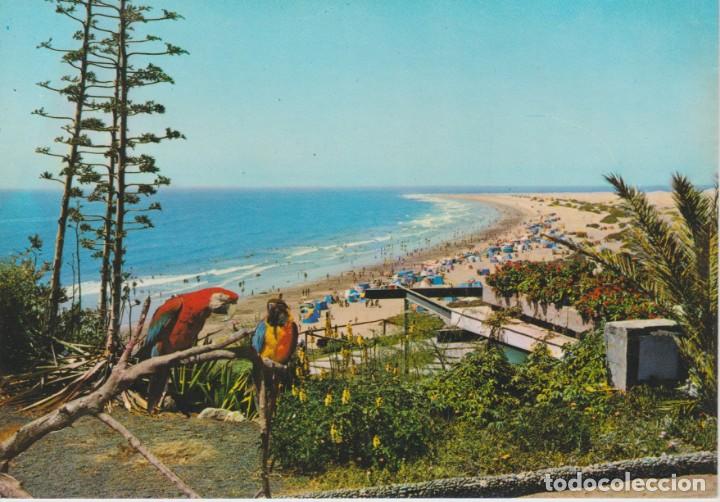 Postales: (264) GRAN CANARIA. PLAYA DEL INGLES