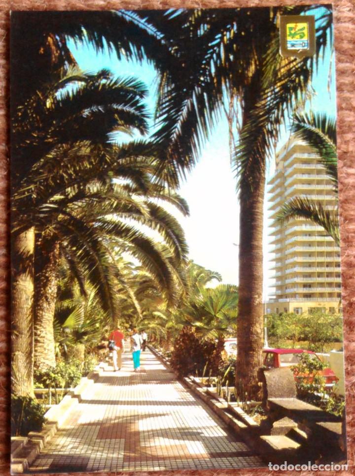 Postkarten: PUERTO DE LA CRUZ - PASEO MARTIANEZ