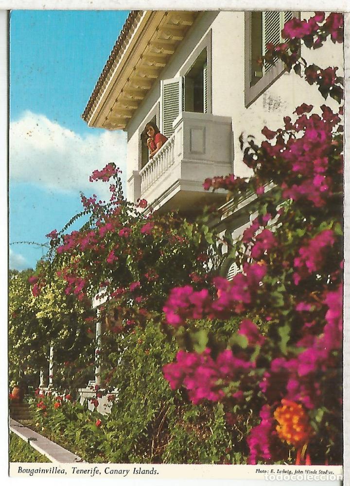 Postales: CANARIAS TENERIFE ESCRITA - Foto 1
