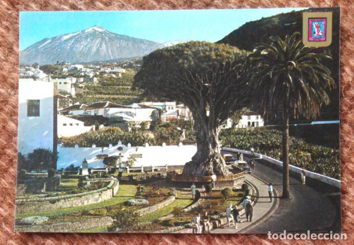 Postales: ICOD DE LOS VINOS - DRAGO MILENARIO - Foto 1