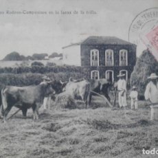 Postales: TENERIFE - LOS RODEOS - CAMPESINOS EN LA FAENA DE LA ERA. Lote 133317734