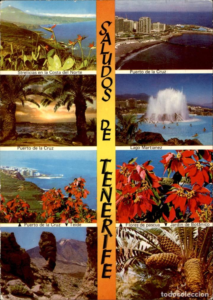 Postales: Tenerife &ndash; 1981 &ndash; Circulada - Foto 1