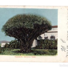 Cartes Postales: TENERIFE.- DRAGON TREE. Lote 138107058