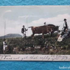 Postales: GRAN CANARIA. AGRICULTURA. FRANQUEADA EL 8 DE JUNIO DE 1903.. Lote 141646926