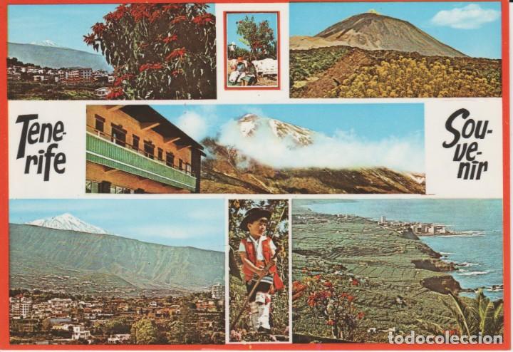 Postales: (2494) TENERIFE - Foto 1