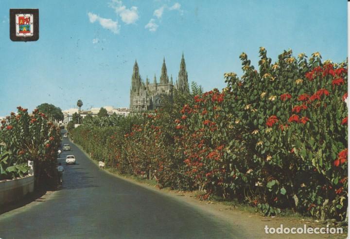 Postales: (144) ARUCAS. ENTRADA Y CATEDRAL - Foto 1