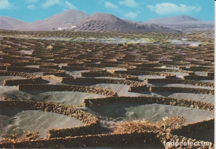 Postales: (20094) LANZAROTE. LA GERIA - Foto 1