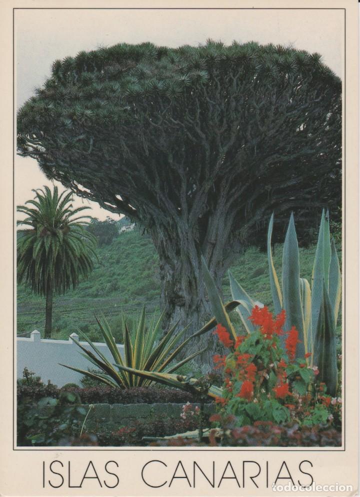 Postales: (39) DRAGO MILENARIO - Foto 1