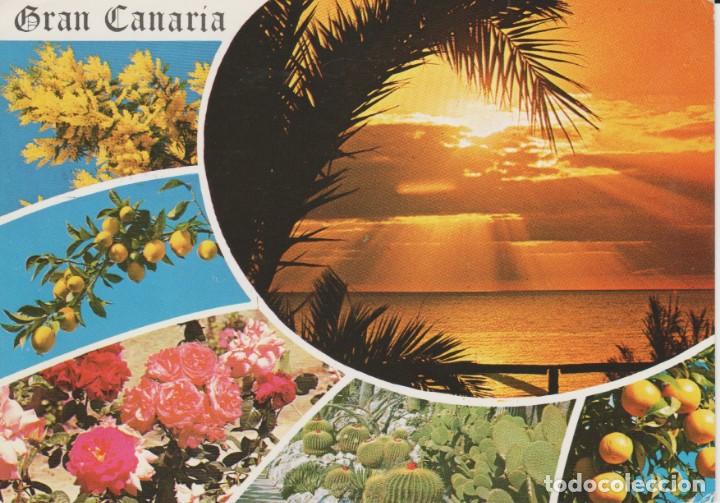 Postales: (102) GRAN CANARIA.